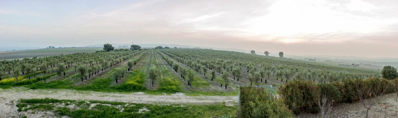 Vivienda Rural Olivar De San Telmo 阿尔科斯-德拉弗龙特拉 外观 照片