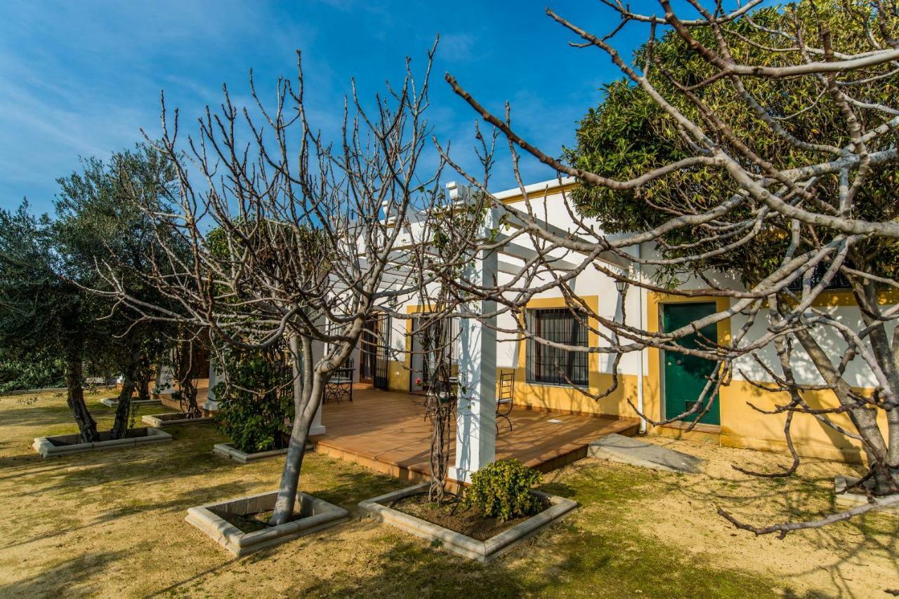 Vivienda Rural Olivar De San Telmo 阿尔科斯-德拉弗龙特拉 外观 照片