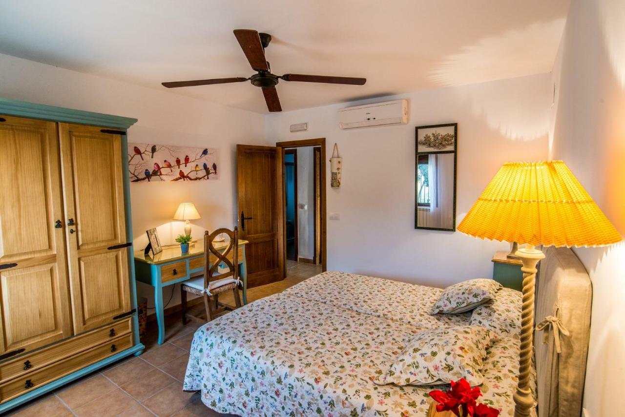Vivienda Rural Olivar De San Telmo 阿尔科斯-德拉弗龙特拉 外观 照片