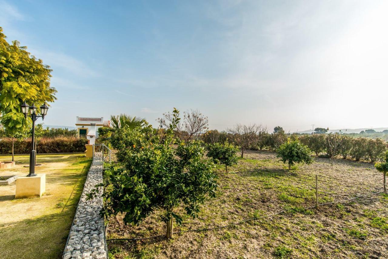 Vivienda Rural Olivar De San Telmo 阿尔科斯-德拉弗龙特拉 外观 照片