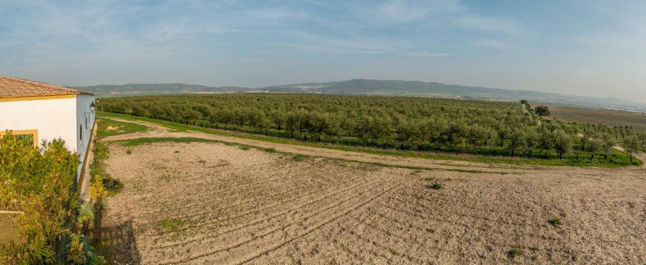 Vivienda Rural Olivar De San Telmo 阿尔科斯-德拉弗龙特拉 外观 照片