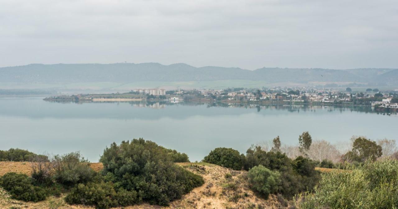 Vivienda Rural Olivar De San Telmo 阿尔科斯-德拉弗龙特拉 外观 照片