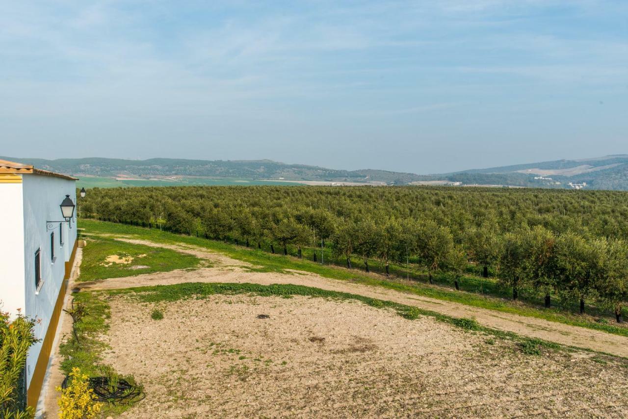 Vivienda Rural Olivar De San Telmo 阿尔科斯-德拉弗龙特拉 外观 照片