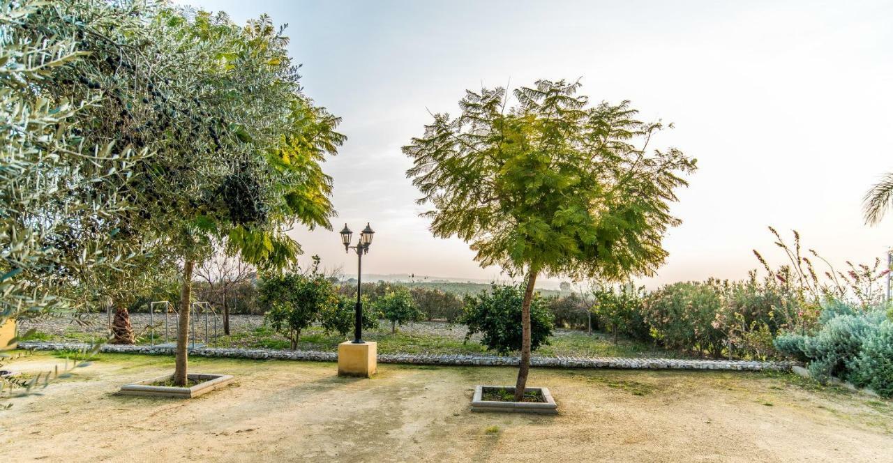 Vivienda Rural Olivar De San Telmo 阿尔科斯-德拉弗龙特拉 外观 照片